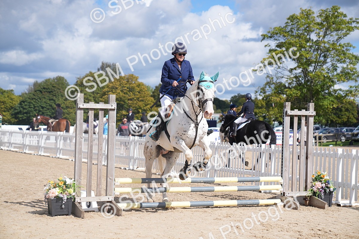 SBM_04120 - J34 Veteran 50cm Championship