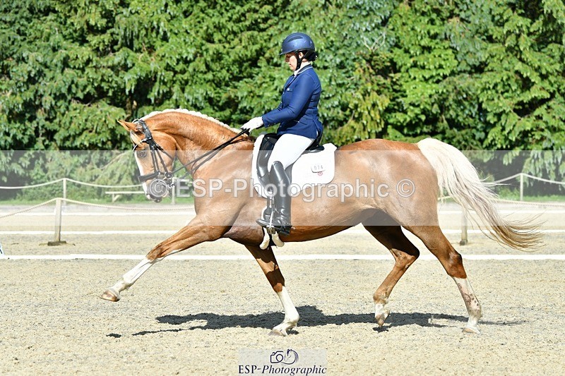 230623-165512-02927 - Cls 9 Advanced Medium 91Q