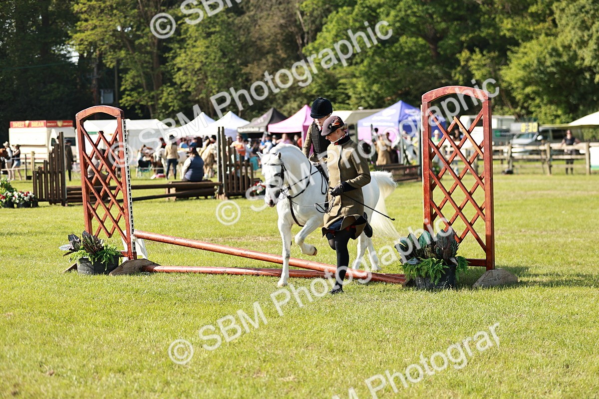 SBM_11262 - Class 106-107 - BSPS LIHS Working Sports Pony