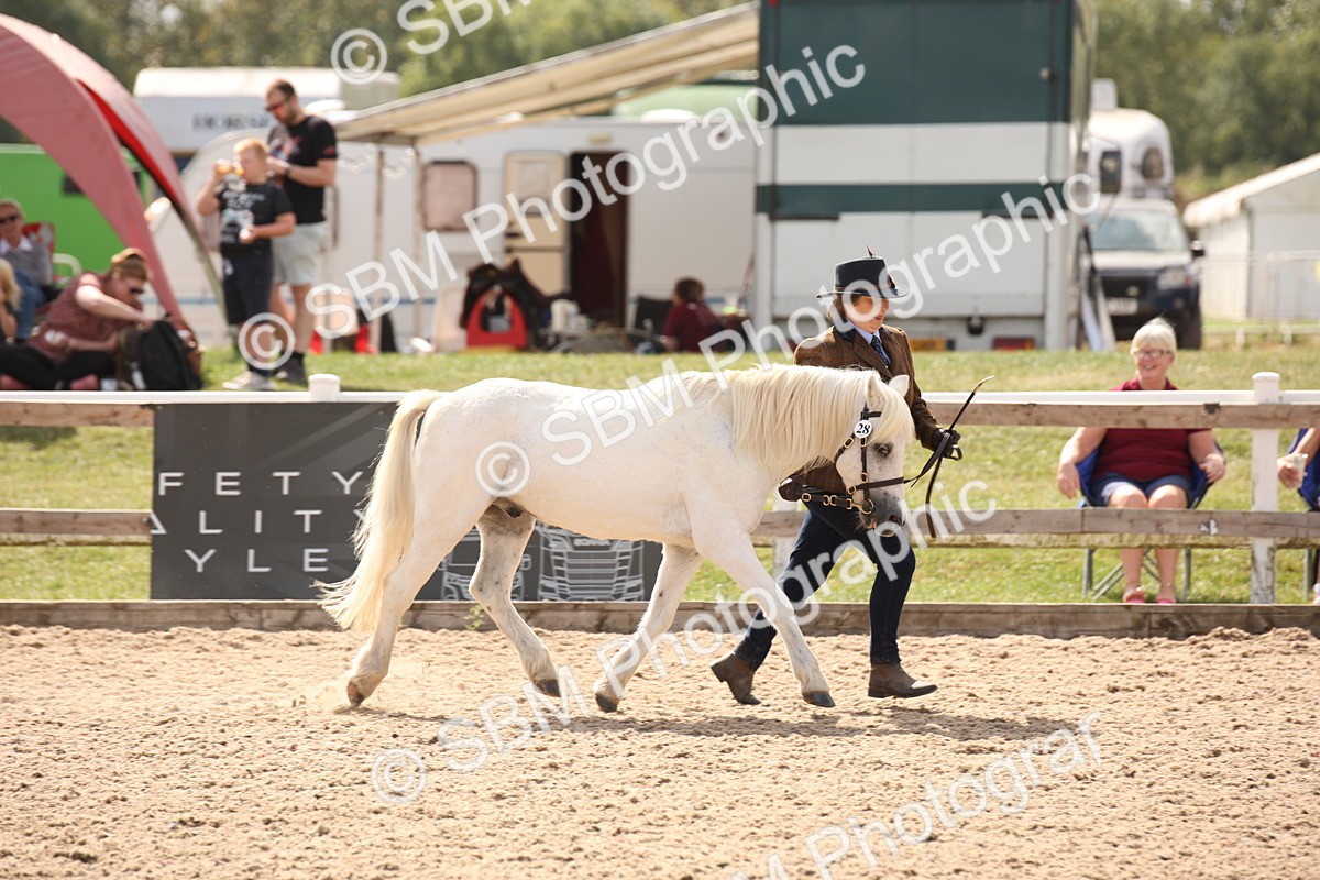 SBM_04531 - Class 20 IH Veteran