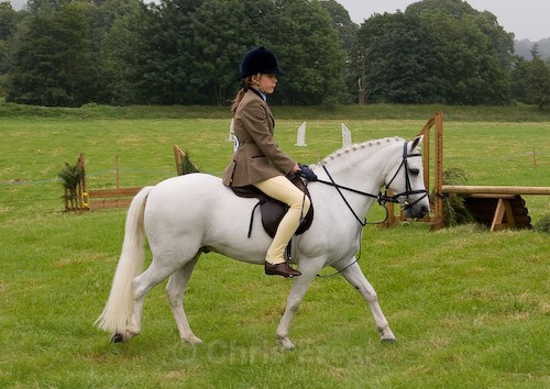 2 - Moniaive Horse Show 2008