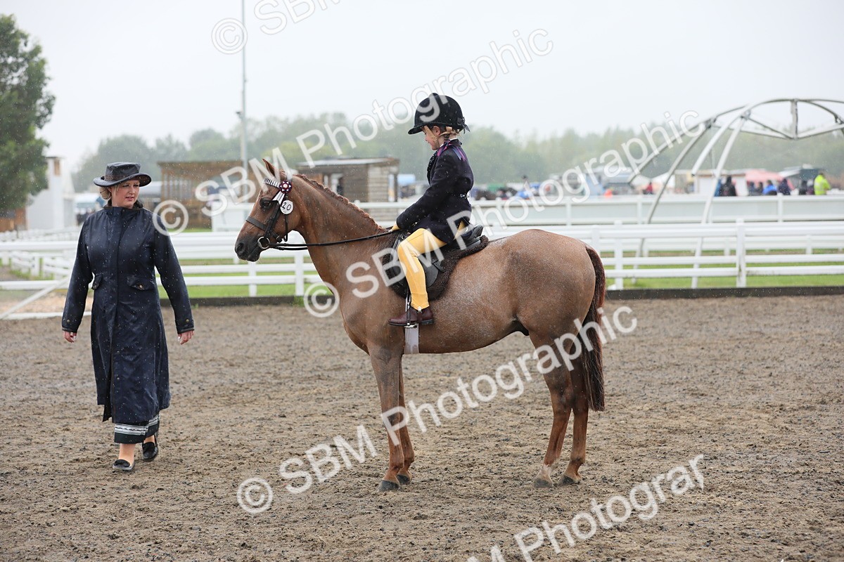 SBM_20581 - Class 804 - Ridden Veteran Pony