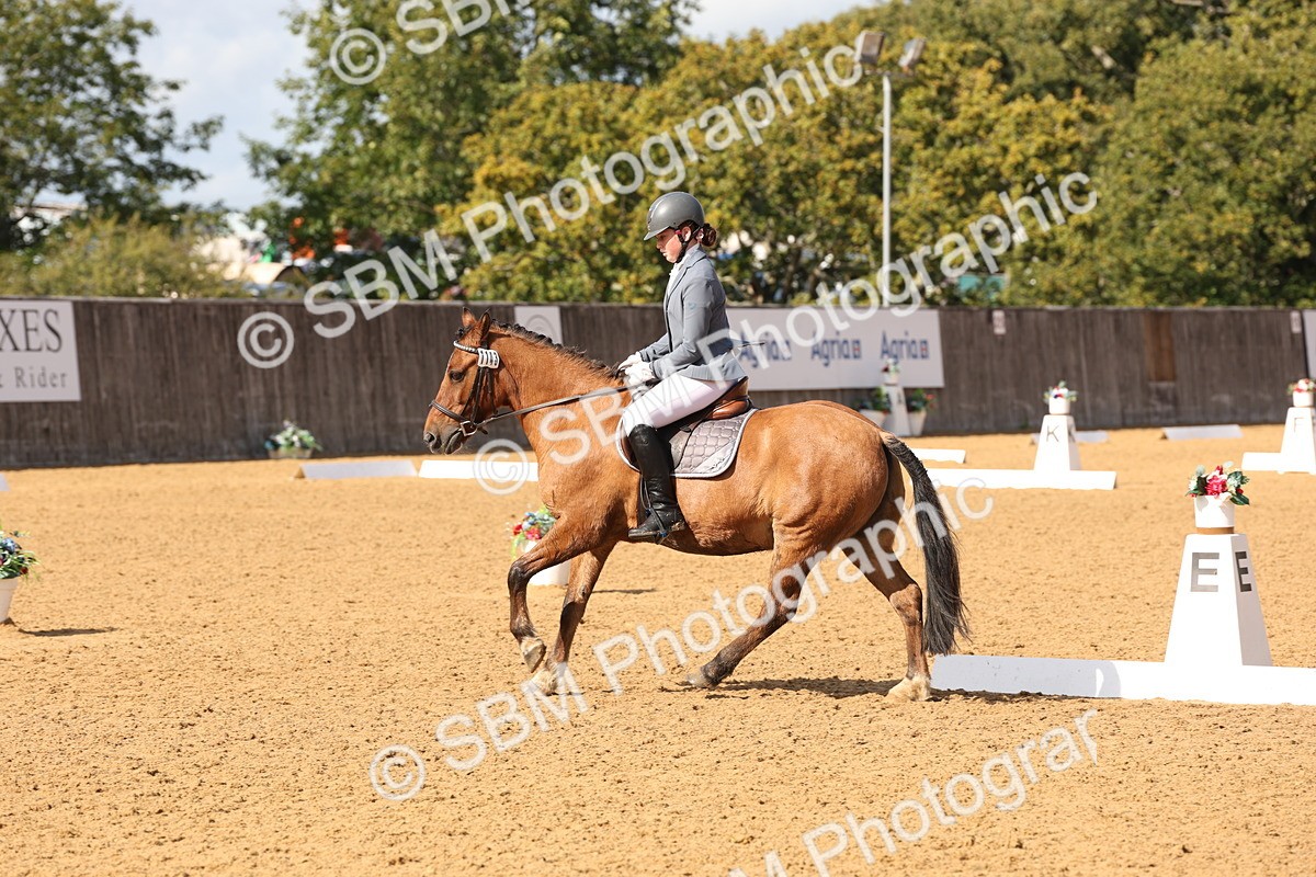 SBM_47424 - D12 - Small Tour Championship prelim 2