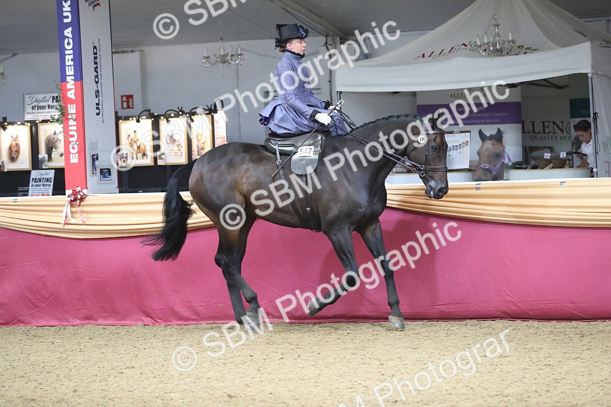SBM_11543 - Class 105 Ridden Costume- Side Saddle