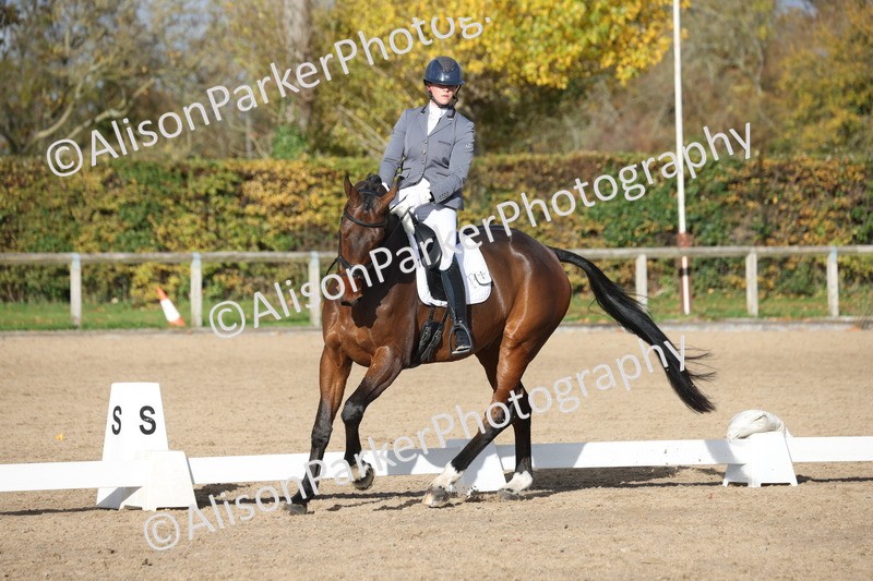 20251102-1093 - Class 6 - Elementary 6