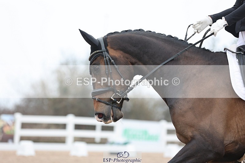 250216-100621-04829 - 103-Annie.Emerson-Fine.Design.AC