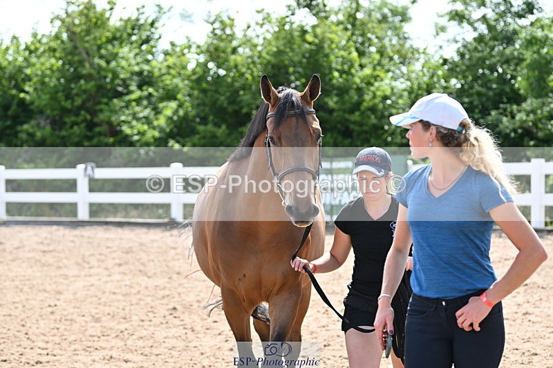 240717A-155235-03129 - Trot Up 3pm to 4pm