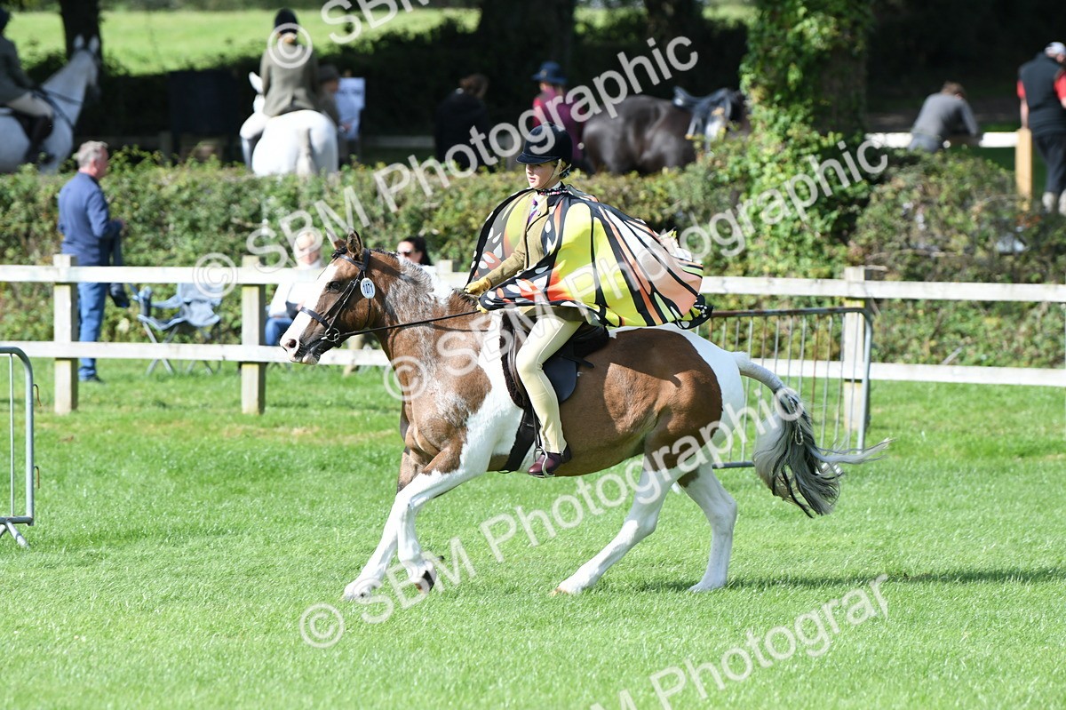 SBM_47099 - S12 - Family Horse & Pony