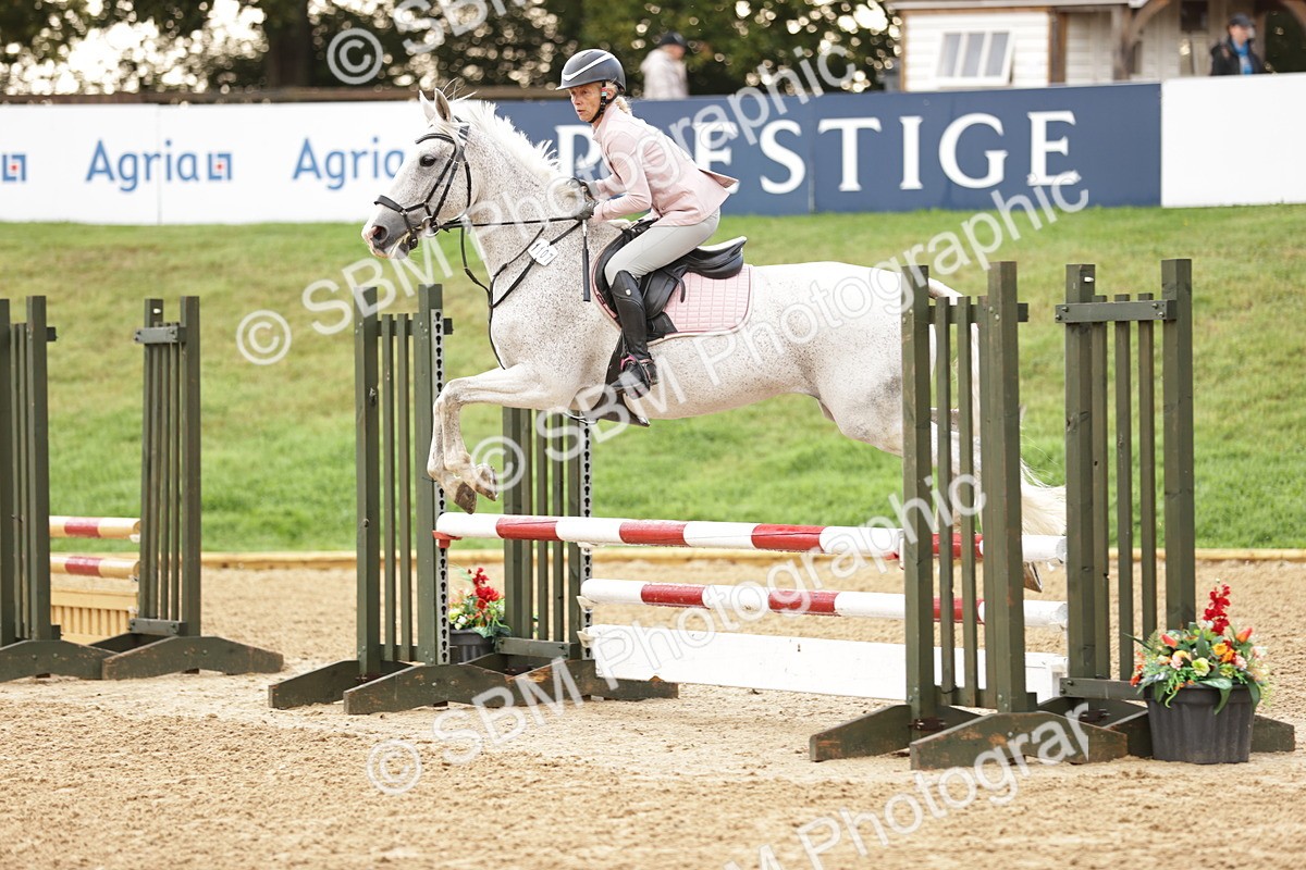 SBM_32984 - J38 - Senior Horse & Pony 80cm Championship