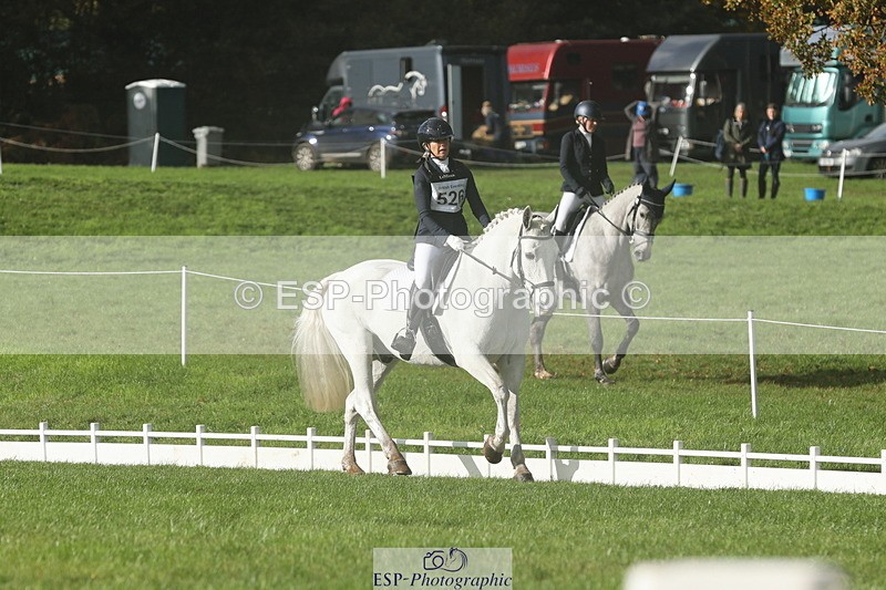 251023A-150352-05085 - G-526-Helen.Hickson