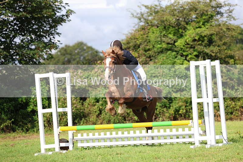 3E7A5099 - Class 1: 60cm Juniors and Seniors