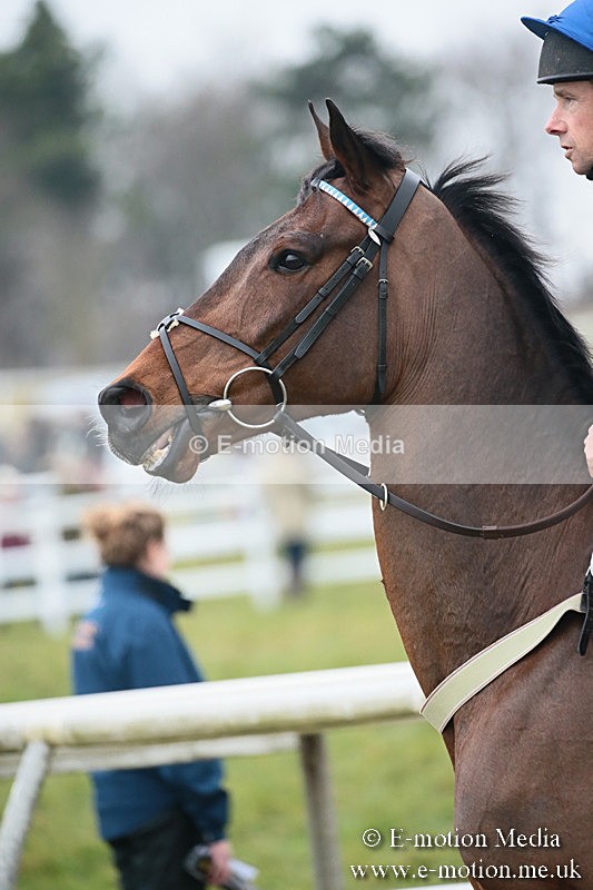 PtP 170219 -541 - Combined Services Point-To-Point Larkhill 17/02/19