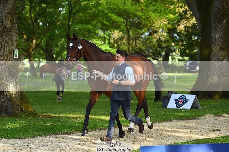 230524-172134-01461 - 175-MONBEG_EQUITY-Tom_McEwen-WEDTrotUp+DR