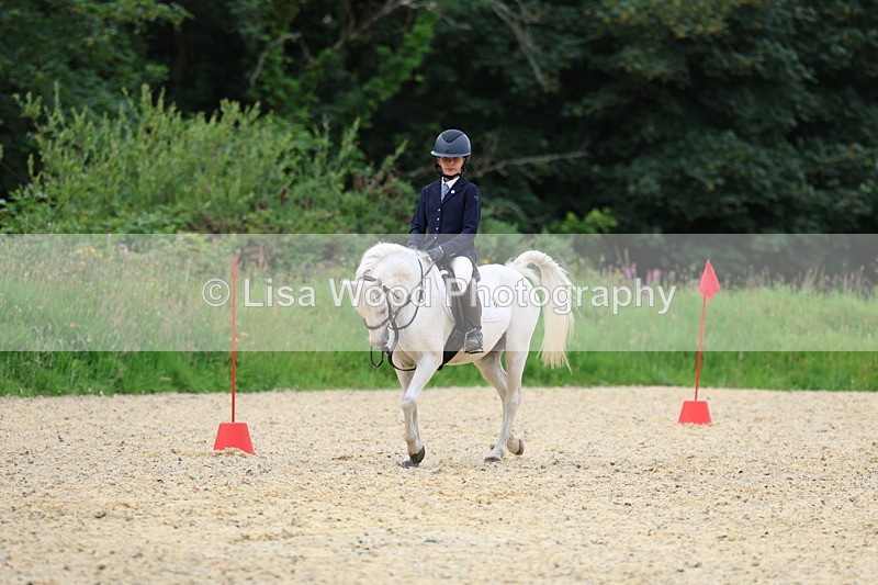 3E7A9658 - Walk trot run