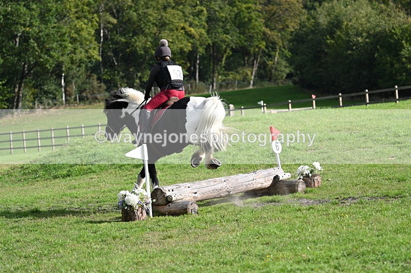 WJ7_3731 - 40cm Time 10:26 to 10:42