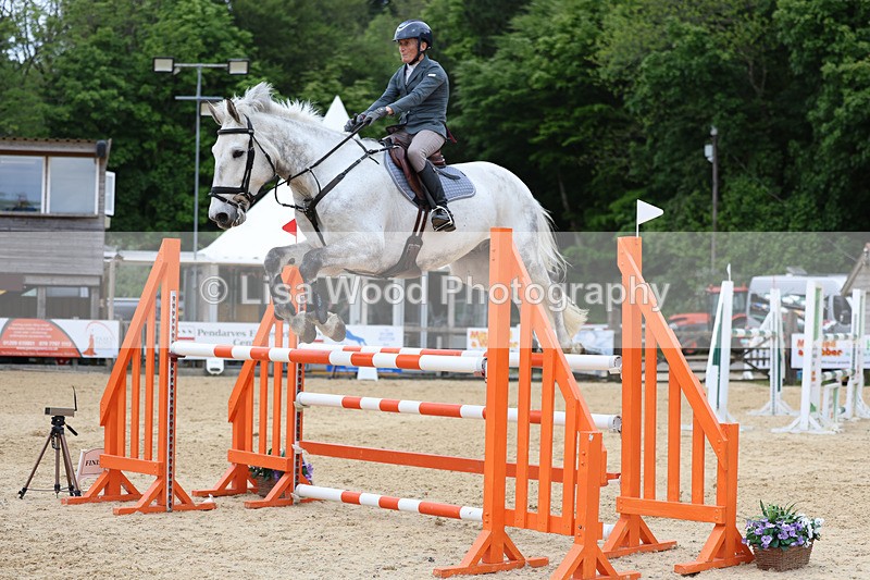 3E7A9611 - Class 9: Senior Foxhunter/1.20 open