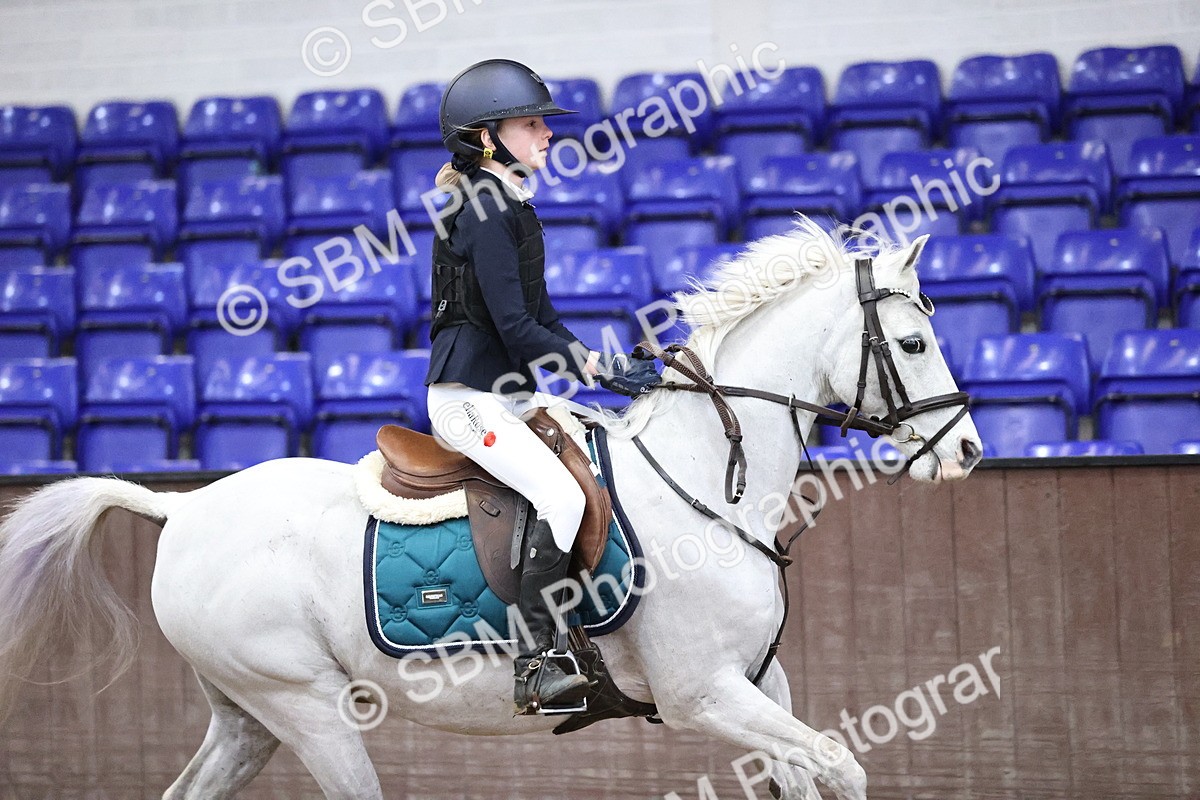 SBM_000302 - Class 2 - Pony British Novice - 80cm