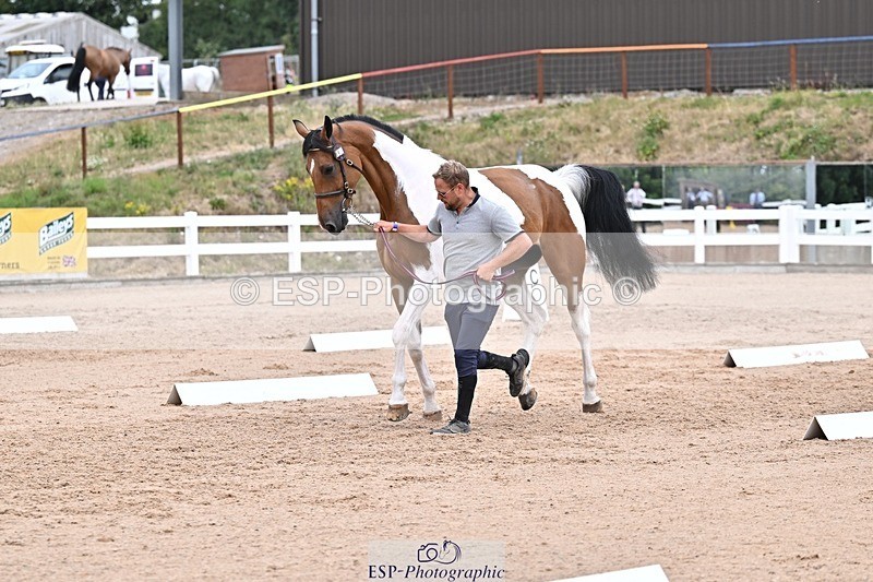 250716-134331-00658 - Trot Up 1.30 to 2.30