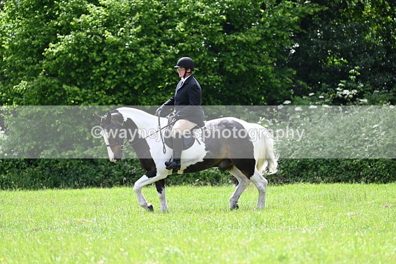 WJ7_2632 - Class 12A Coloured Class