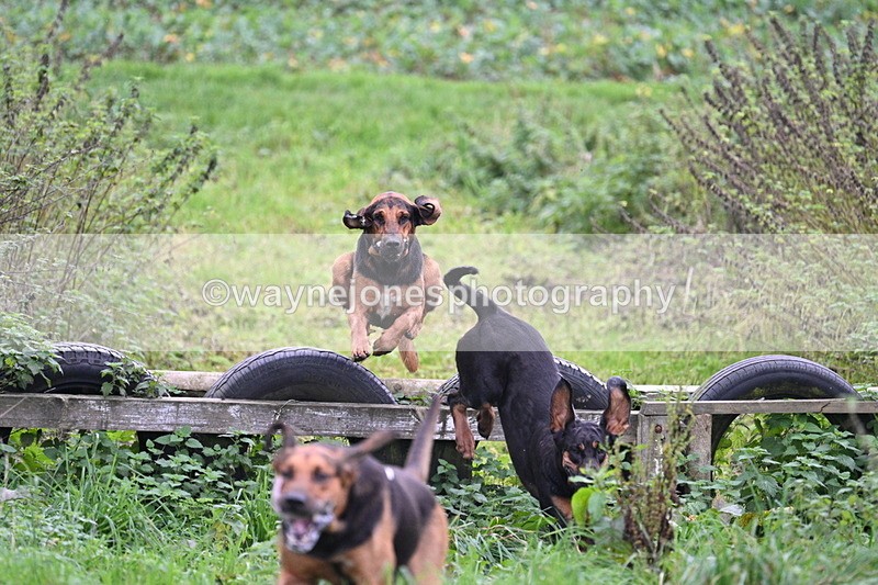 WJ7_8938 - Camera 1 only on this line