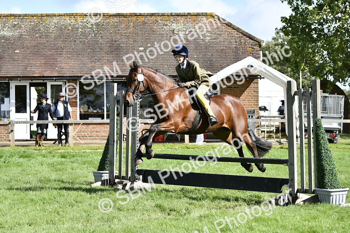 SBM_45700 - S33 - Working Hunter Pony