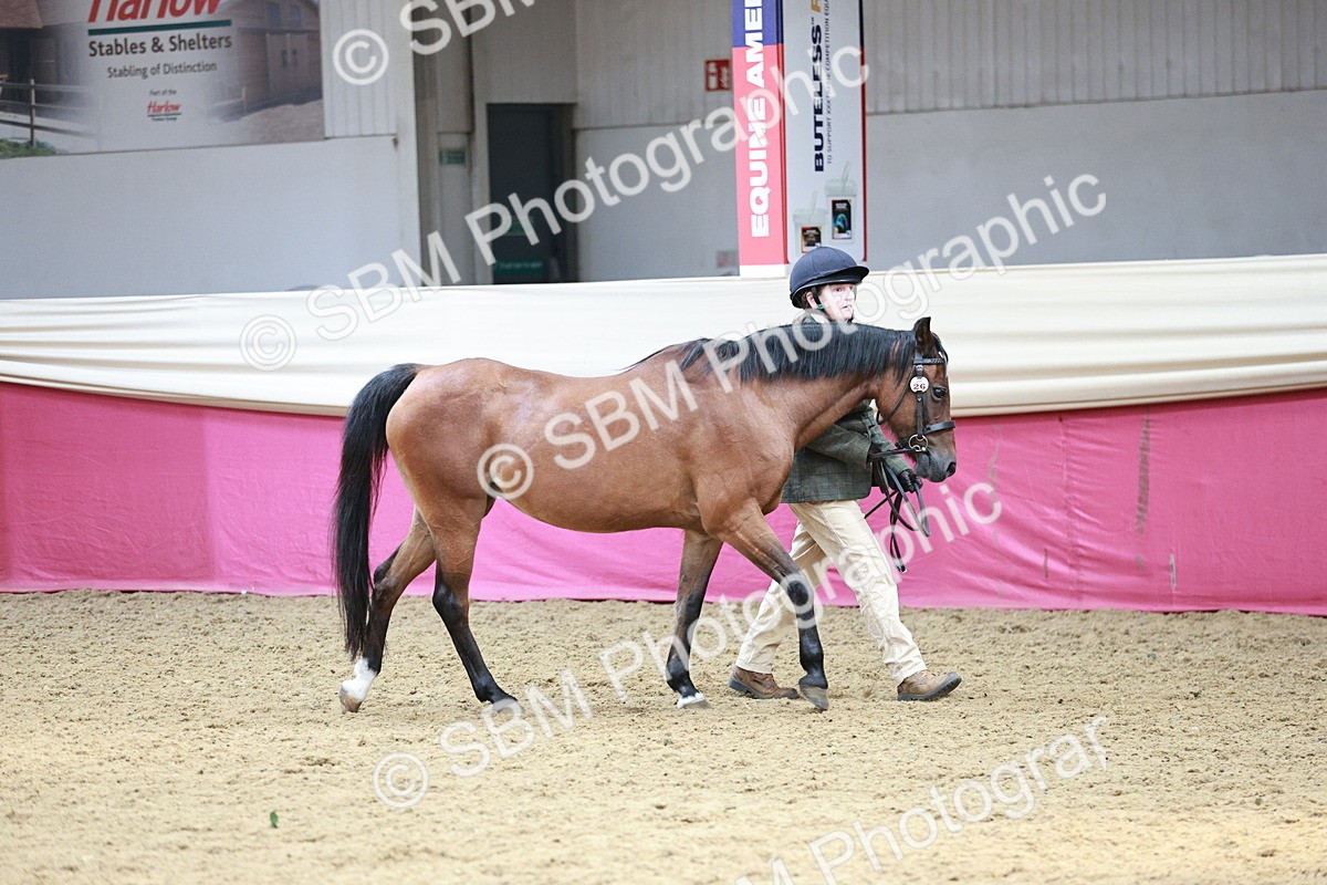 SBM_04721 - Class 7R - Regional IH Diamond