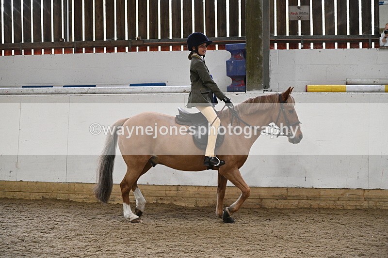 WJ7_4471 - Afternoon Champs