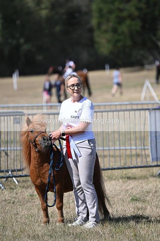 WJ6_9240 - Championship Classes 33-38
