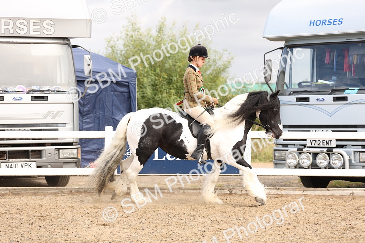 SBM_04319 - Class 54 - Riding Club Horse/Pony