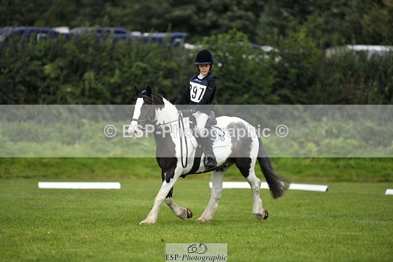 230826-112812-15871 - Sections C & D 10 to End