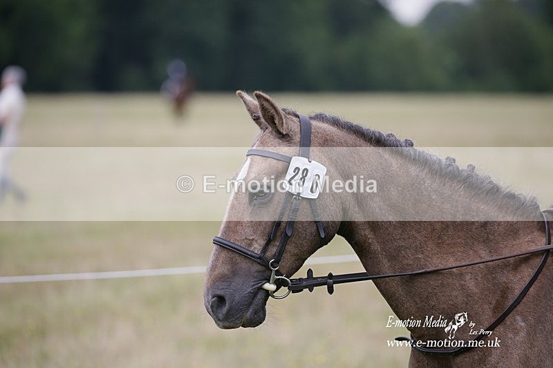 BVRC 030721 795 - Bourne Valley Riding Club Dressage 03/07/21
