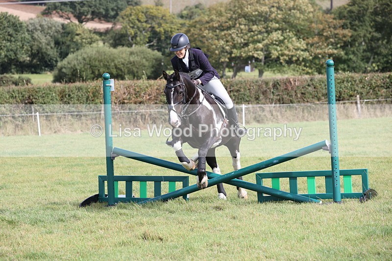 JPP_8596 - Class 2: Trekenning: 80cm Showjumping