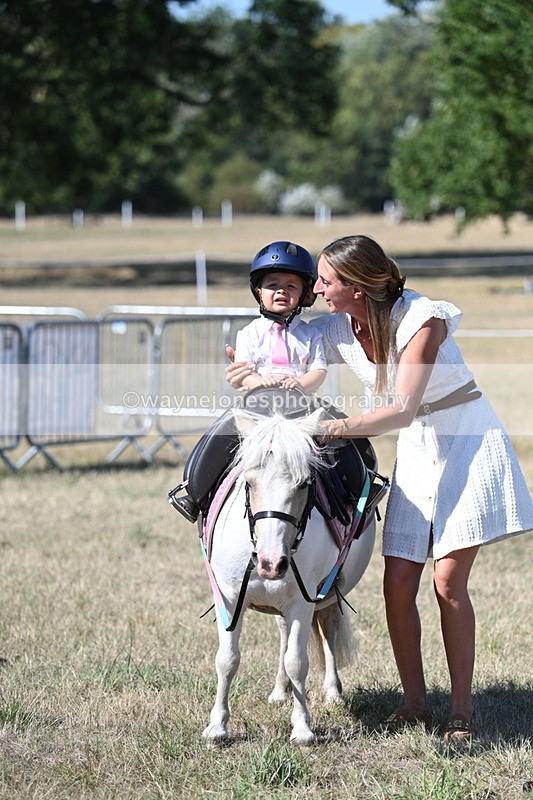 WJ7_1377 - Class 41 Prettiest Mare