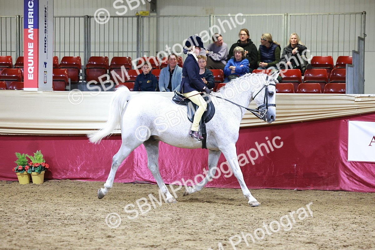 SBM_20684 - Class J - Foreign Breeds Champ