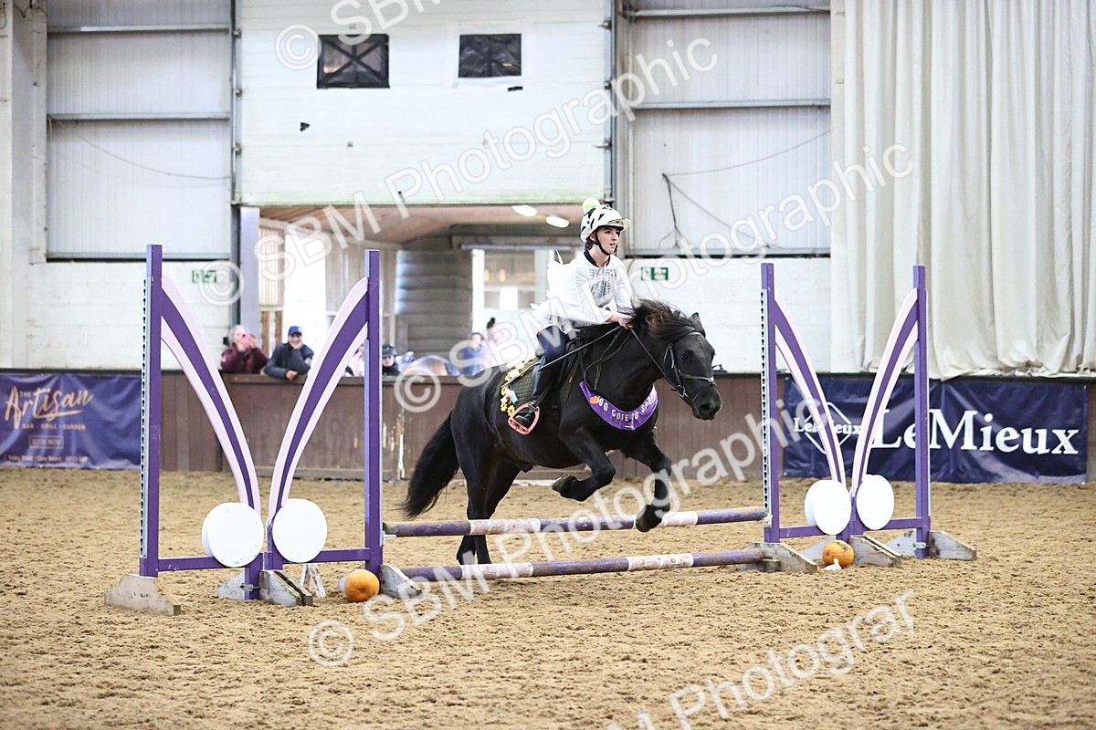 SBM_000291 - Class 2 - Show Jumping 50cm