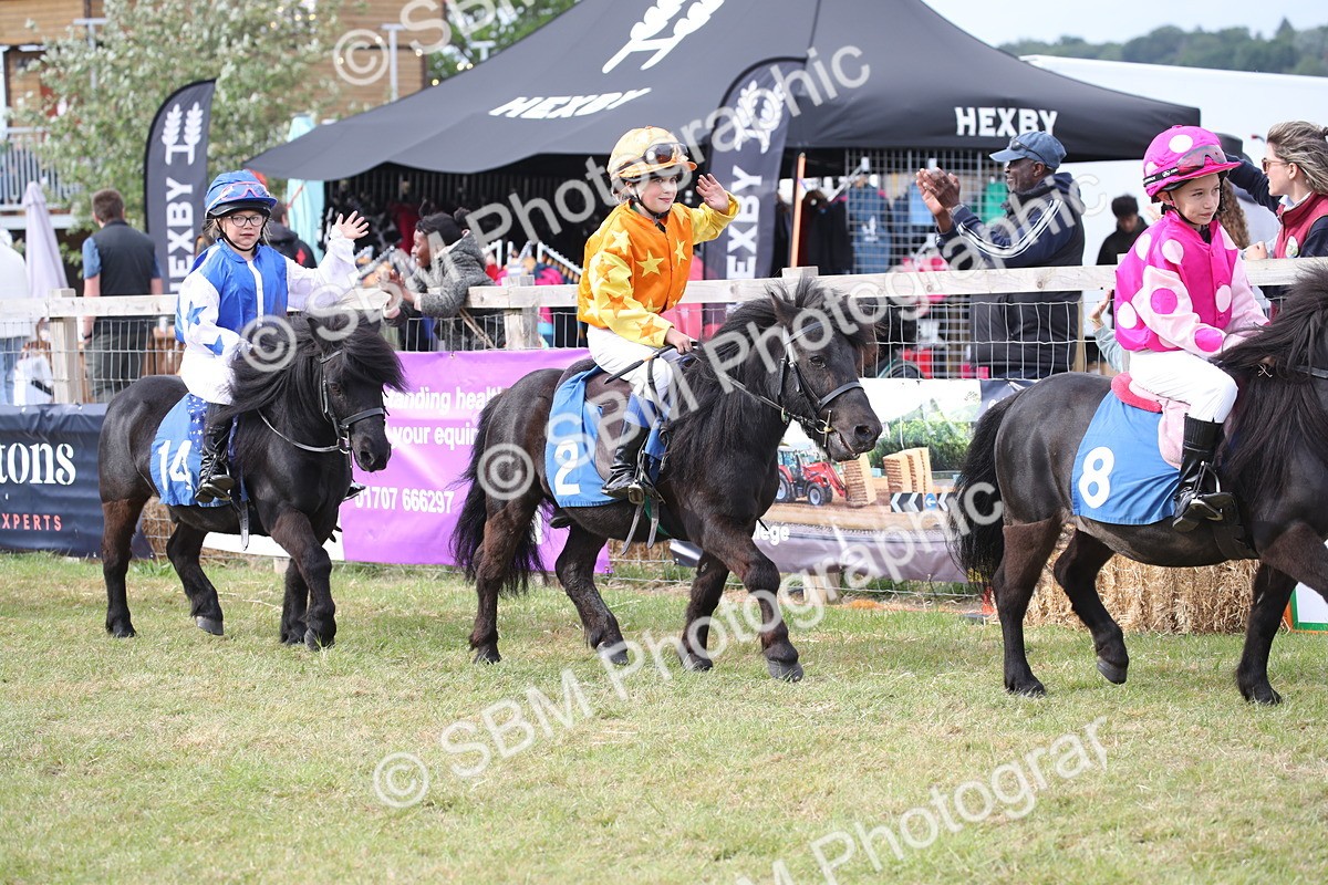 SBM_10189 - Dinky Derby