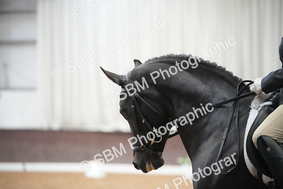 SBM_004772 - Class 11 - Elementary 2 Champs