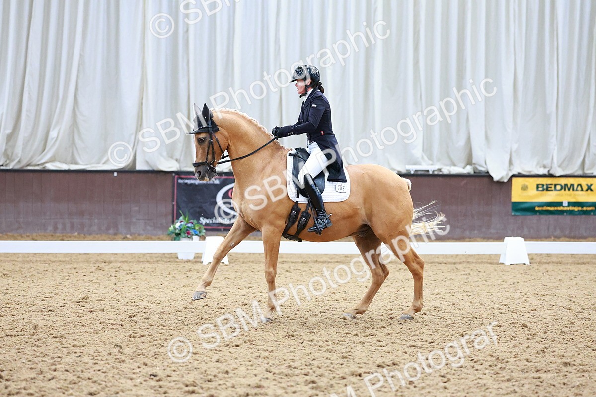 SBM_021303 - Class 25 - FEI PSG Bronze