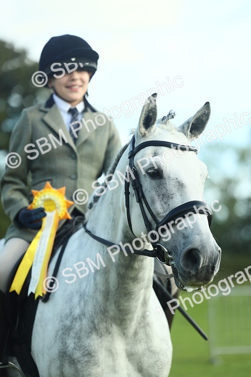 SBM_49946 - S32 - Novice & Newcomers Working Hunter