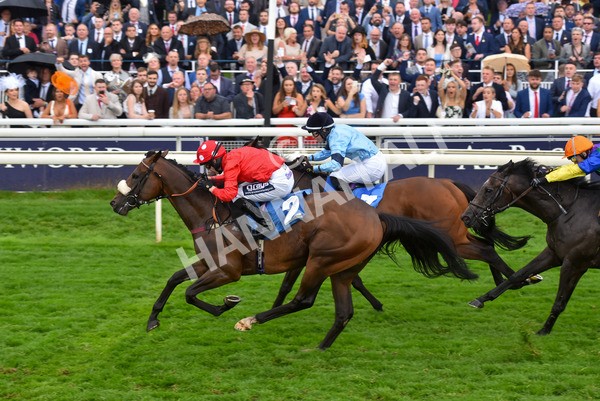 yr21082021r7-17 - Race 7 5.20pm Sky Bet Apprentice Stakes