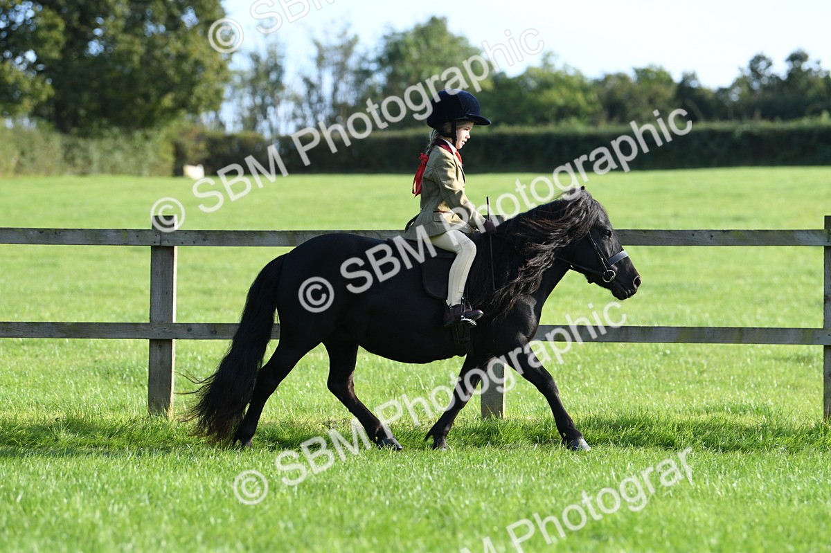 SBM_54000 - S23 - 1st Ridden Mountain & Moorland Pony