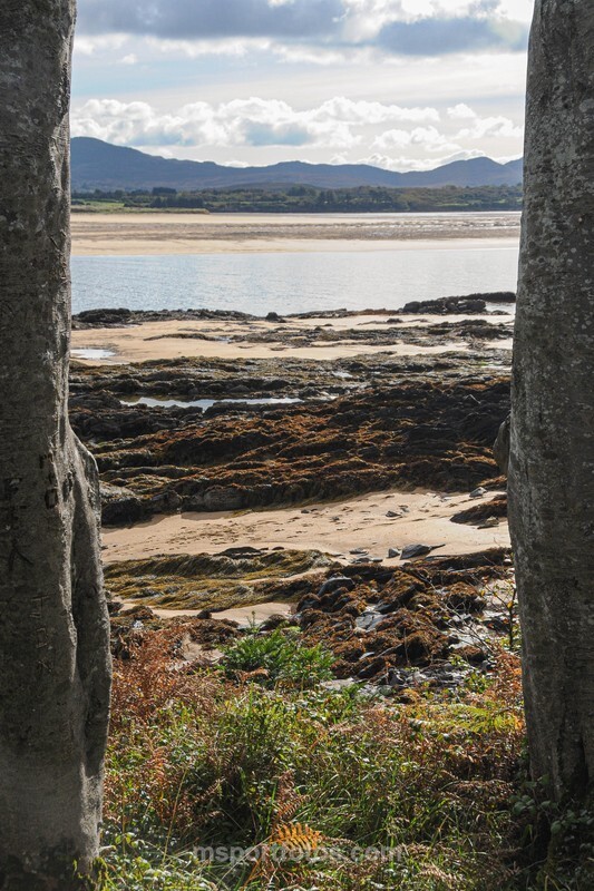 Tramore beach From Ards Friary - Irelands landscapes