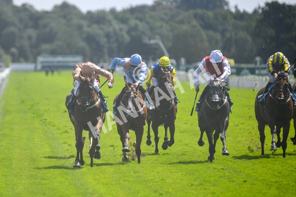 150723-Race 2-Nymphadora-0173 - Race 2 2.35pm John Smith's City Walls Stakes