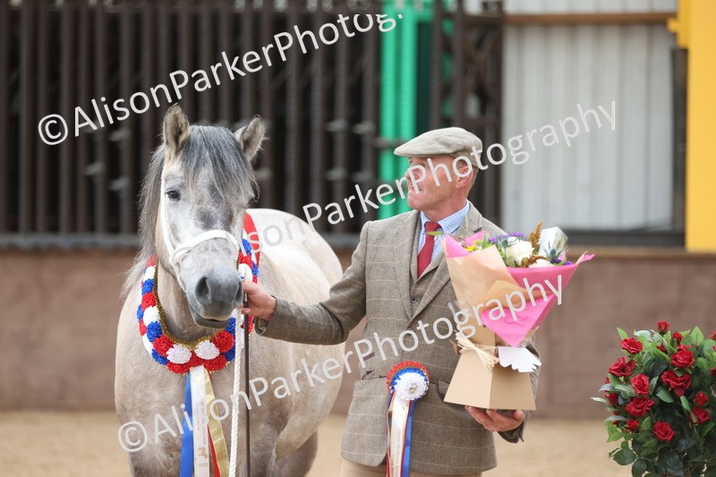 20251109-1234 - Supreme Championship