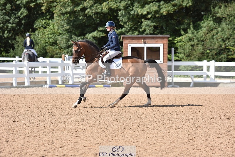 230806A-101250-01184 - Cls 16 Snr British Novice & 90cm Open