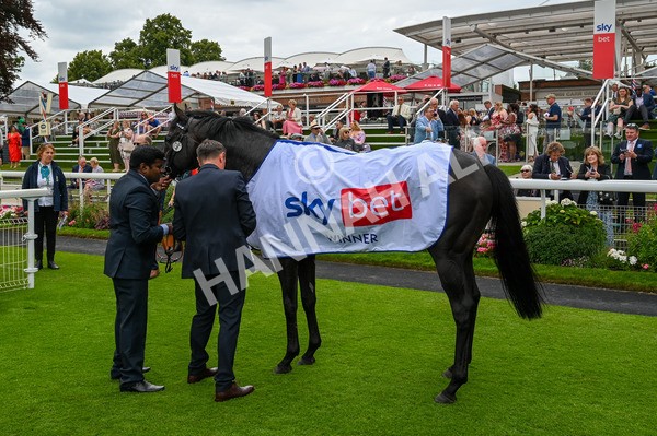 270724-Race 1-Alflaila-9514 - Race 3 3.15pm Sky Bet York Stakes