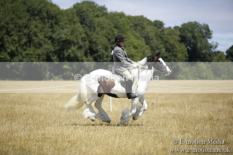 _C7A9874 - BVRC Show 2018 Ring 1