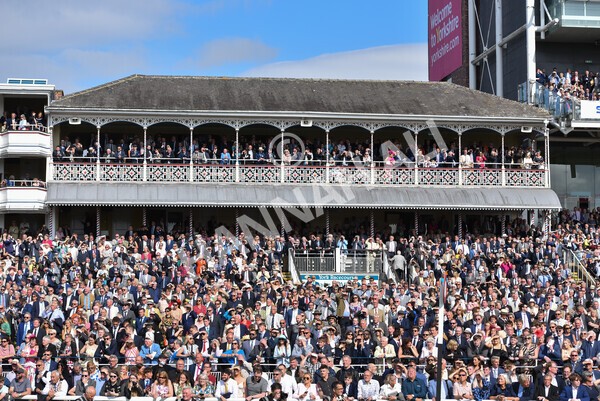 yr18082021r4-88 - Race 4 3.35pm Juddmonte International Stakes (British Champion Series race)