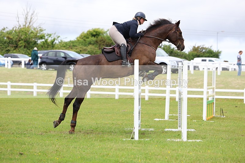 3E7A7066 - Class 12: Senior Foxhunter/1.20 open