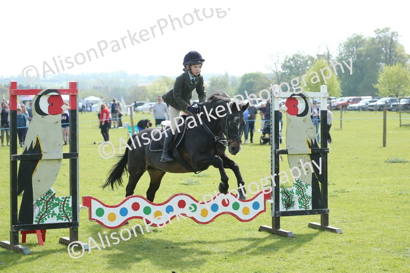 20260426-1484 - Class 14 - Novice 60cm